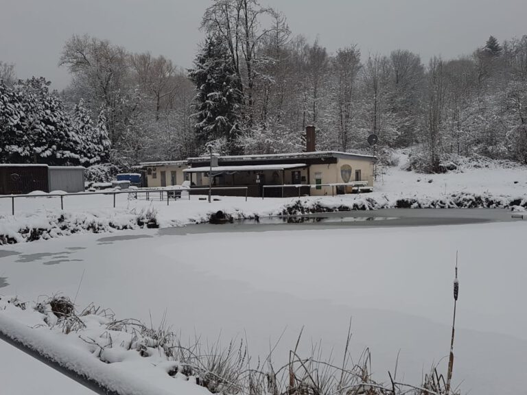 88b61e47-f37f-4bed-bafc-67c13dbd30d0